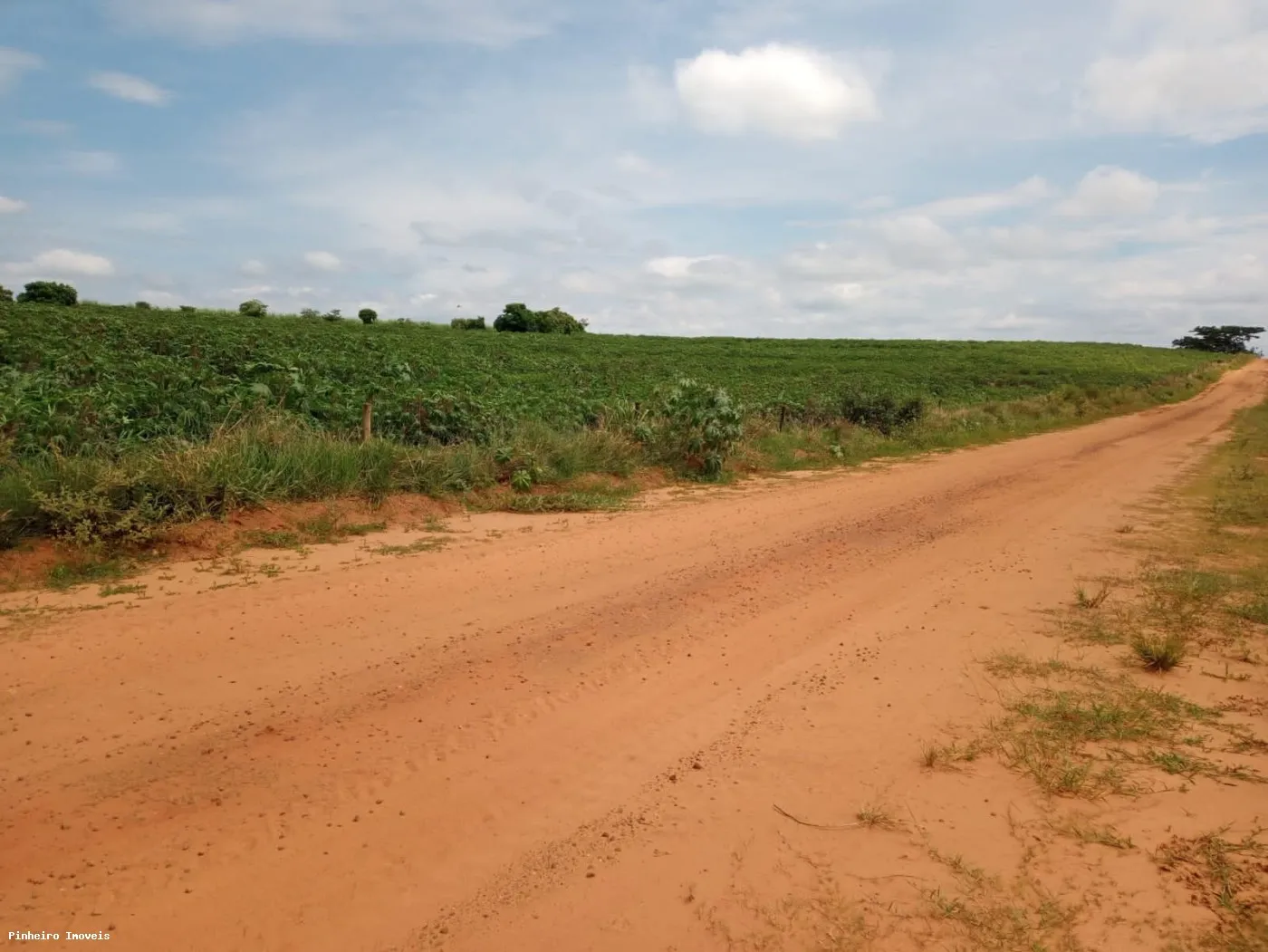 Sítio para Venda em Estrela do Norte, Alto Alegre, 4 dormitórios, 1 banheiro, 2 vagas — foto 2