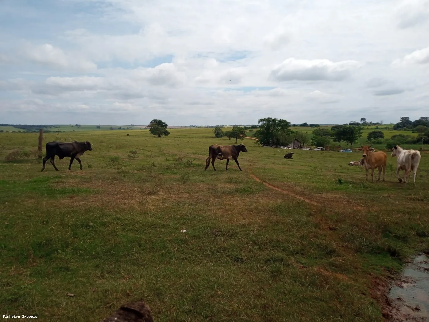 Sítio para Venda em Estrela do Norte, Alto Alegre, 4 dormitórios, 1 banheiro, 2 vagas — foto 5