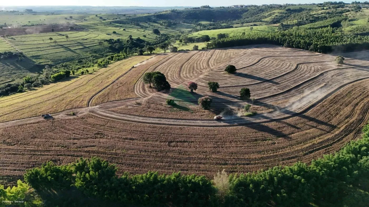 Fazenda para Venda em Echaporã, Fazenda — foto 5