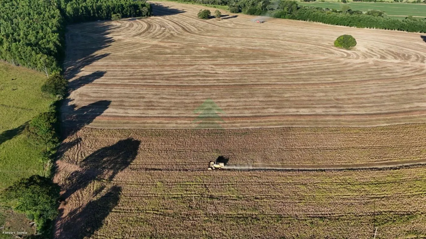 Fazenda para Venda em Echaporã, Fazenda — foto 6