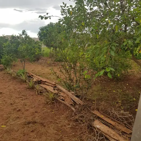 Terreno para Venda em Martinópolis, Condomínio Portal das Palmeiras