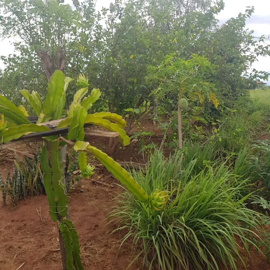 Terreno para Venda em Martinópolis, Condomínio Portal das Palmeiras — foto 2
