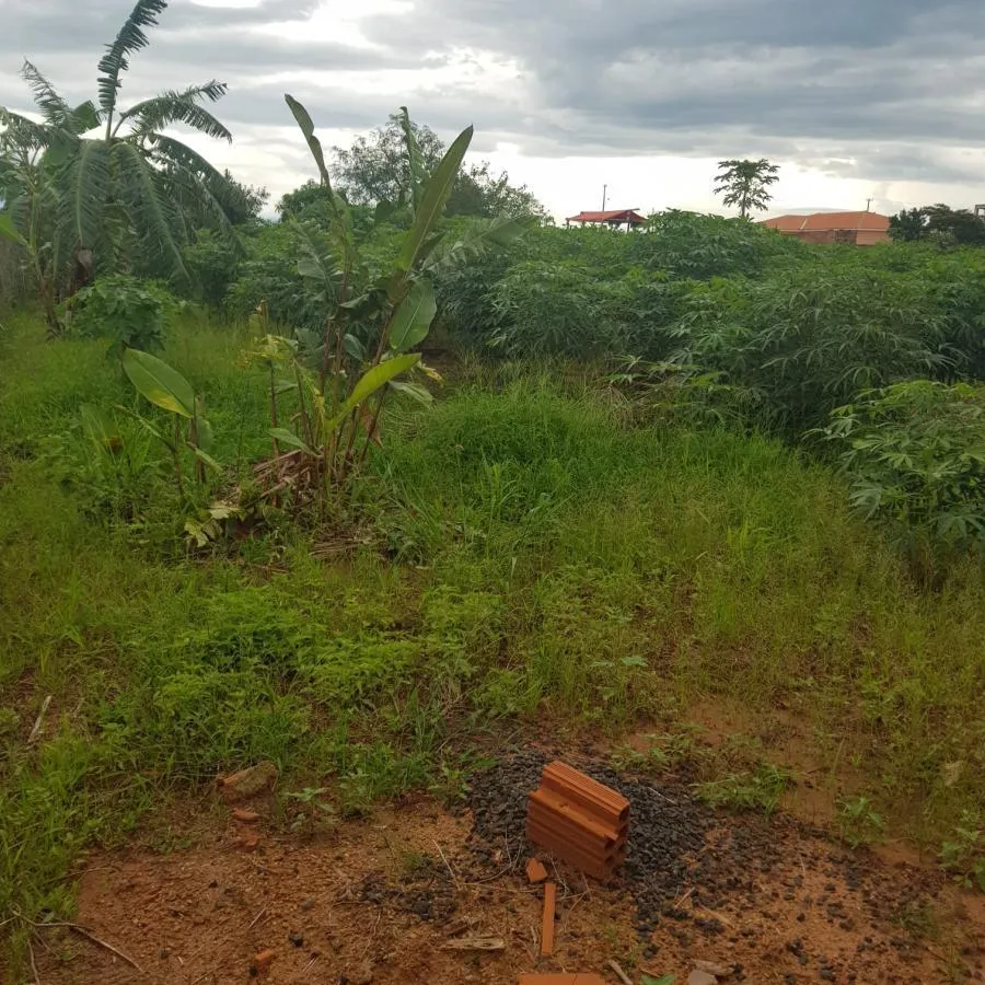 Terreno para Venda em Martinópolis, Condomínio Portal das Palmeiras — foto 7
