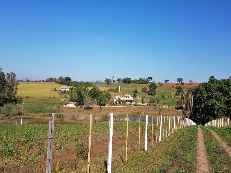 Sítio para Venda em Presidente Prudente, Área Rural, 7 dormitórios, 3 suítes, 7 banheiros, 10 vagas — foto 2