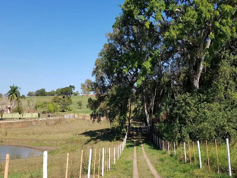 Sítio para Venda em Presidente Prudente, Área Rural, 7 dormitórios, 3 suítes, 7 banheiros, 10 vagas — foto 3