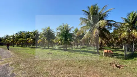Chácara para Venda em Presidente Prudente, Colina do sol, 6 dormitórios, 5 suítes