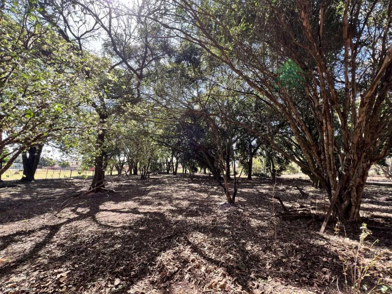 Chácara para Venda em Regente Feijó, Área Rural — foto 4
