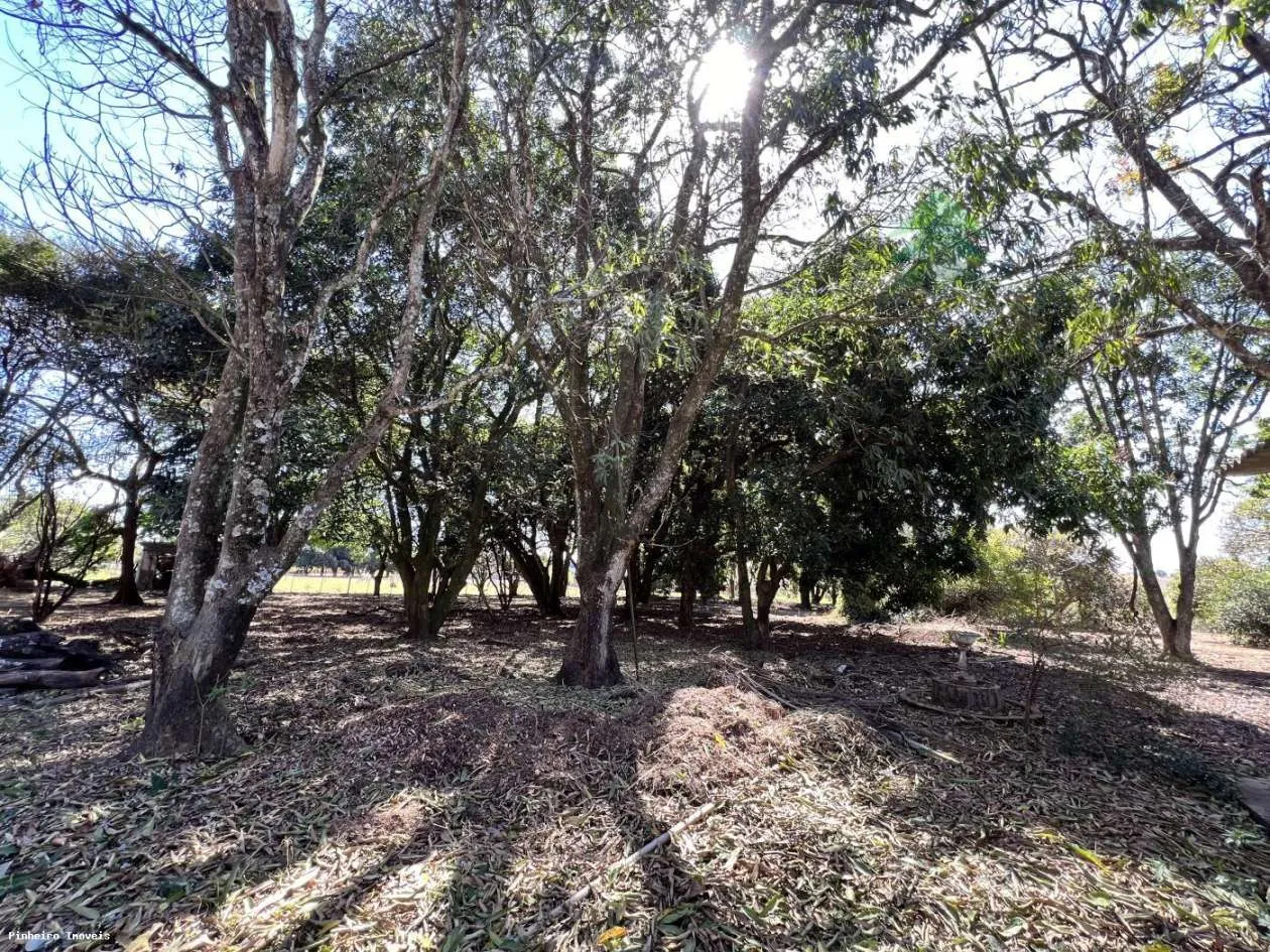 Chácara para Venda em Regente Feijó, Área Rural — foto 5